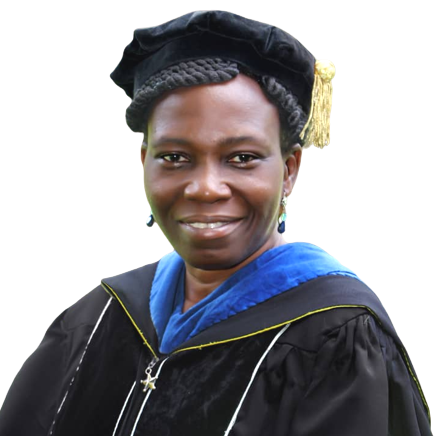 Dr Olusola Ayo-Obiremi
