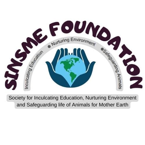 12. SINSME Foundation